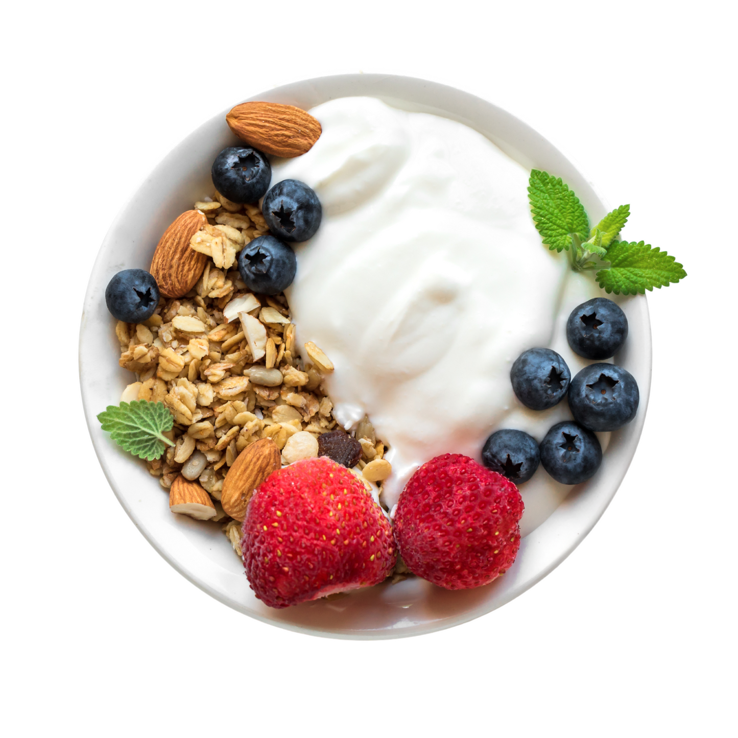 Yogurt Starter